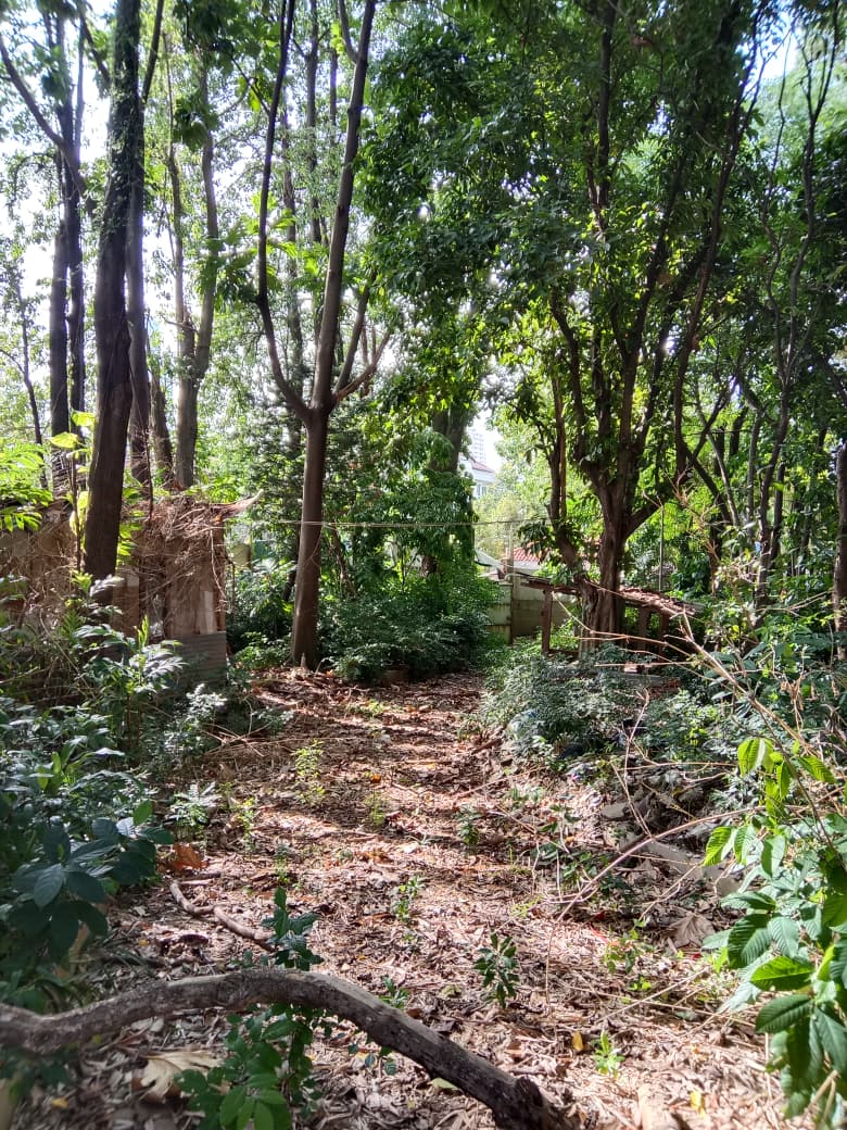 Jual Tanah di Kebon Jeruk Jakarta Barat 5 Menit Gerbang Tol Kebon Jeruk